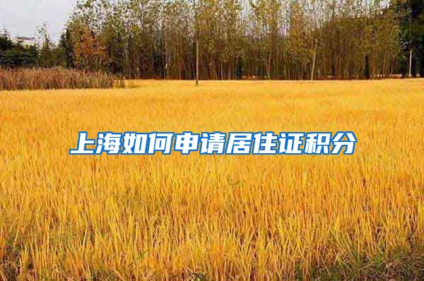 上海如何申请居住证积分