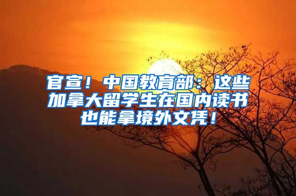官宣！中国教育部：这些加拿大留学生在国内读书也能拿境外文凭！