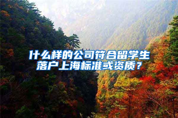 什么样的公司符合留学生落户上海标准或资质？
