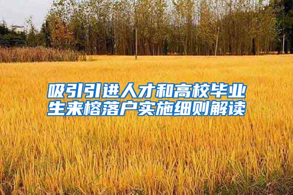 吸引引进人才和高校毕业生来榕落户实施细则解读