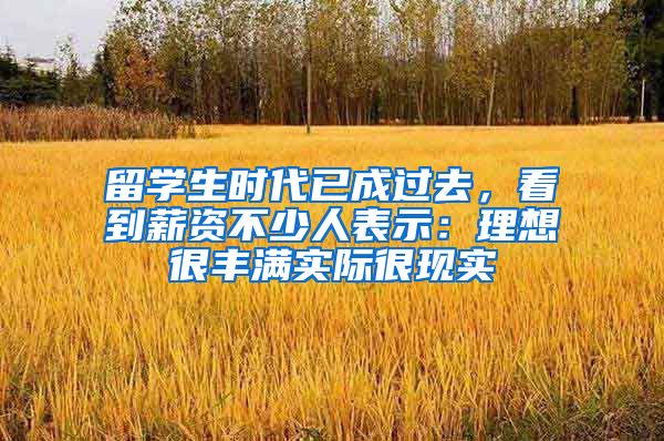 留学生时代已成过去，看到薪资不少人表示：理想很丰满实际很现实
