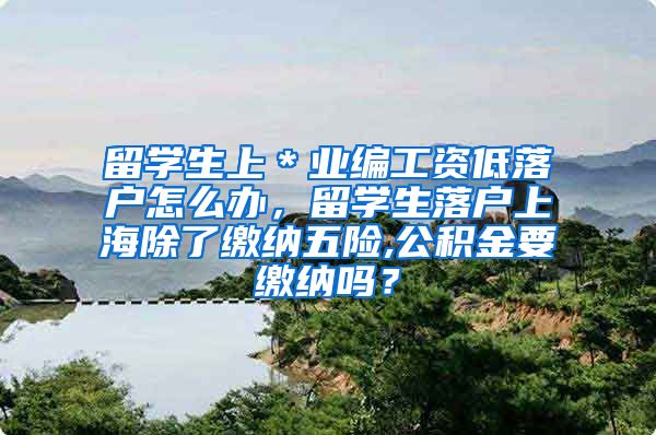 留学生上＊业编工资低落户怎么办，留学生落户上海除了缴纳五险,公积金要缴纳吗？