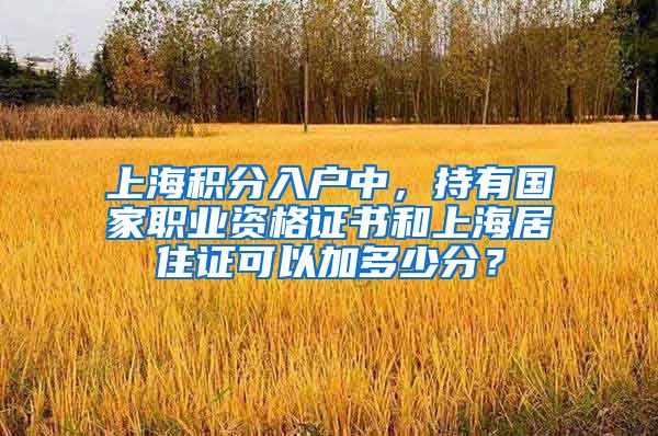 上海积分入户中，持有国家职业资格证书和上海居住证可以加多少分？