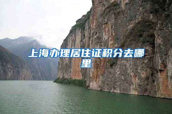 上海办理居住证积分去哪里
