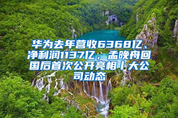 华为去年营收6368亿、净利润1137亿，孟晚舟回国后首次公开亮相丨大公司动态