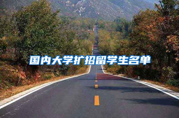 国内大学扩招留学生名单