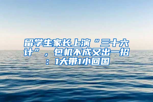 留学生家长上演“三十六计”，包机不成又出一招：1大带1小回国