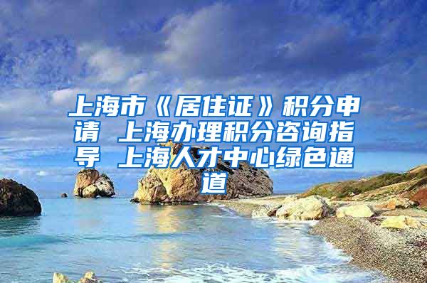 上海市《居住证》积分申请 上海办理积分咨询指导 上海人才中心绿色通道
