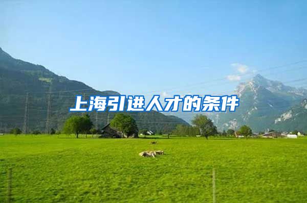 上海引进人才的条件