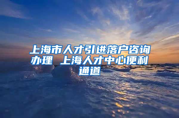 上海市人才引进落户咨询办理 上海人才中心便利通道