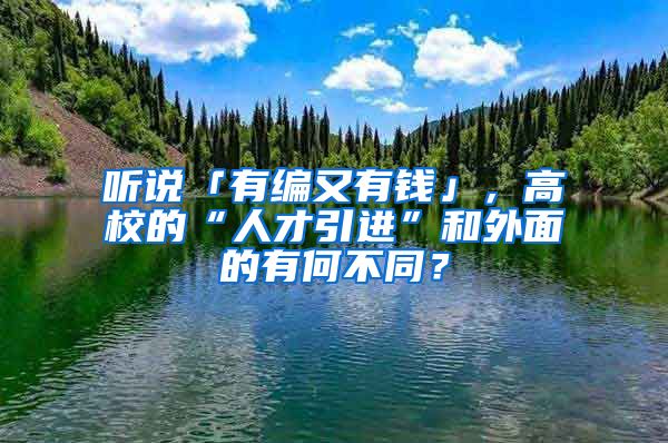 听说「有编又有钱」，高校的“人才引进”和外面的有何不同？