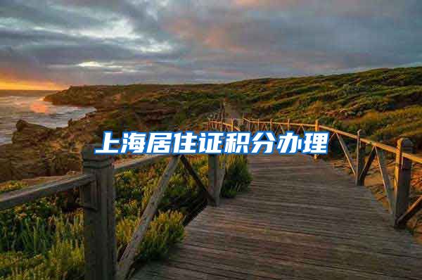 上海居住证积分办理