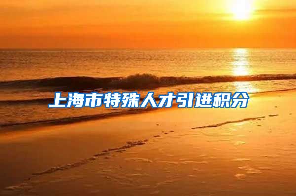 上海市特殊人才引进积分