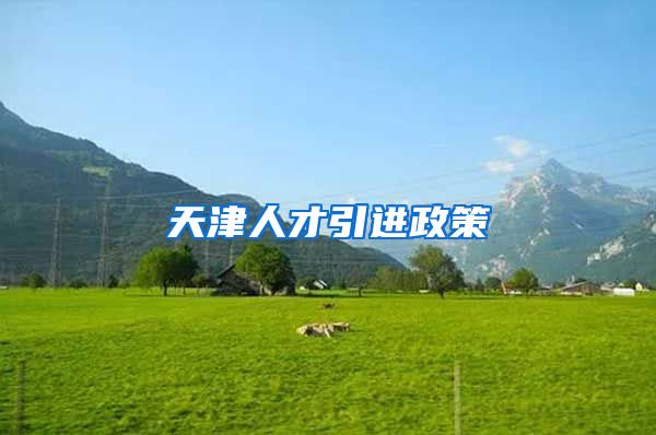 天津人才引进政策