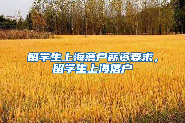 留学生上海落户薪资要求，留学生上海落户