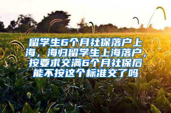 留学生6个月社保落户上海，海归留学生上海落户，按要求交满6个月社保后能不按这个标准交了吗