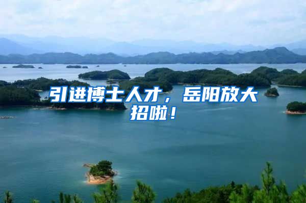 引进博士人才，岳阳放大招啦！