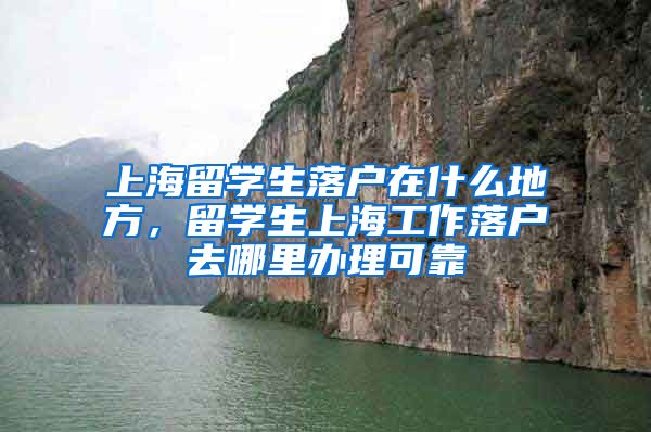 上海留学生落户在什么地方，留学生上海工作落户去哪里办理可靠