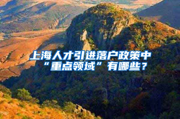 上海人才引进落户政策中“重点领域”有哪些？