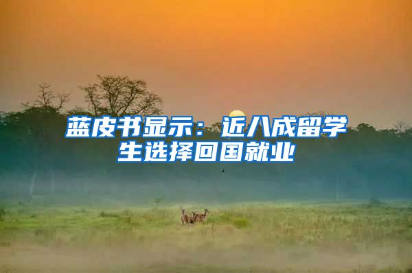 蓝皮书显示：近八成留学生选择回国就业