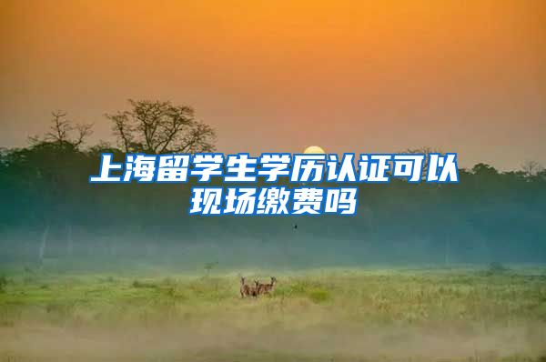 上海留学生学历认证可以现场缴费吗