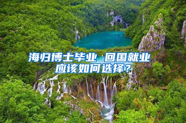 海归博士毕业 回国就业 应该如何选择？