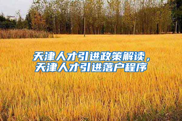 天津人才引进政策解读，天津人才引进落户程序