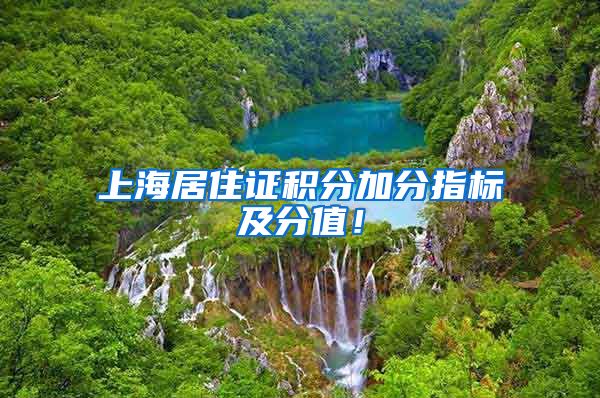 上海居住证积分加分指标及分值！