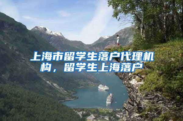 上海市留学生落户代理机构，留学生上海落户