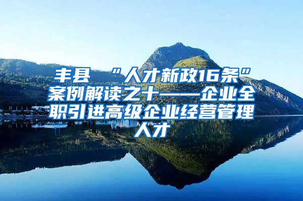 丰县 “人才新政16条”案例解读之十——企业全职引进高级企业经营管理人才