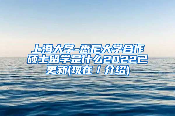 上海大学-悉尼大学合作硕士留学是什么2022已更新(现在／介绍)