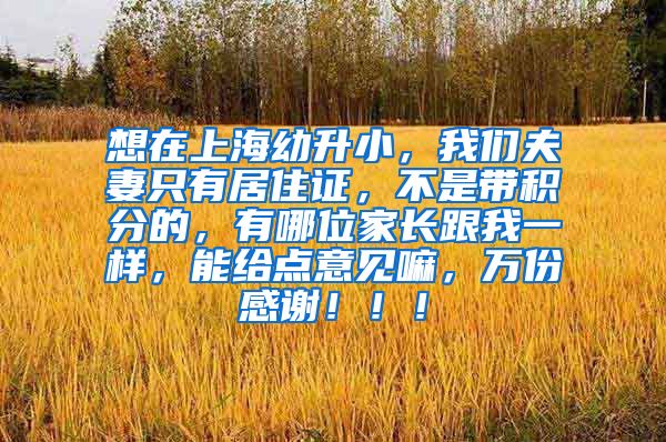 想在上海幼升小，我们夫妻只有居住证，不是带积分的，有哪位家长跟我一样，能给点意见嘛，万份感谢！！！