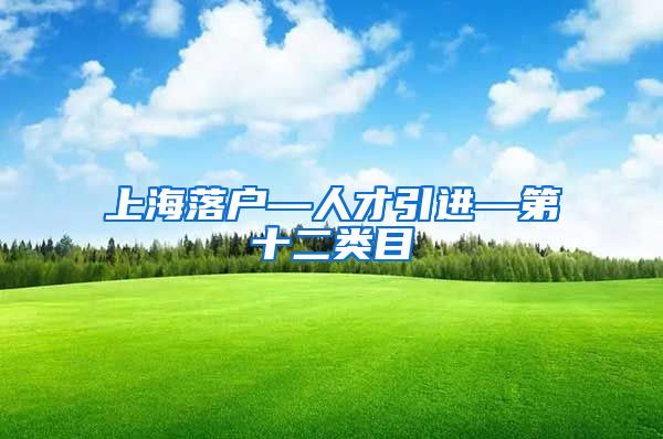 上海落户—人才引进—第十二类目