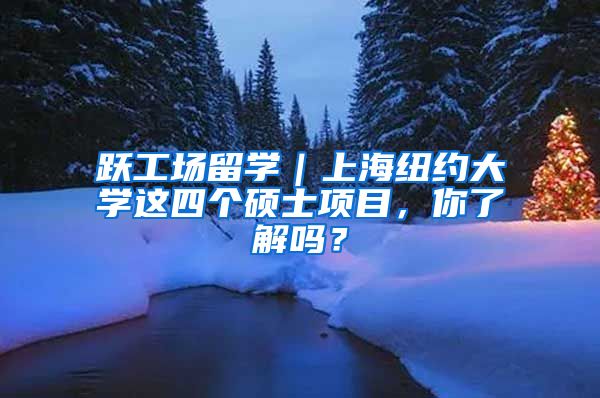 跃工场留学｜上海纽约大学这四个硕士项目，你了解吗？