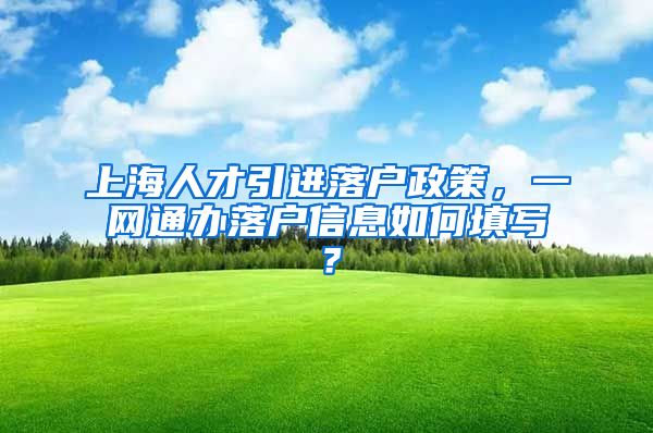 上海人才引进落户政策，一网通办落户信息如何填写？