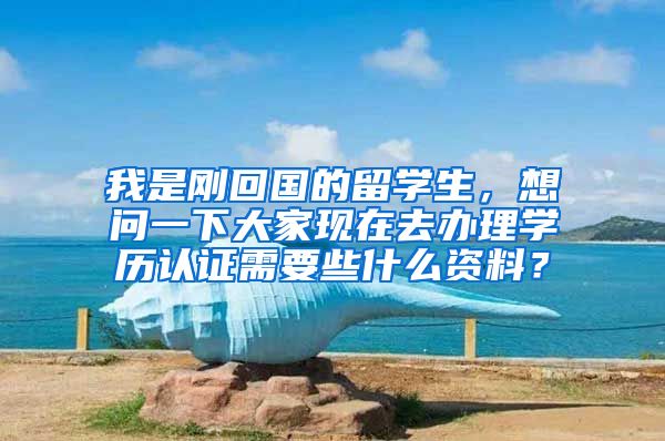 我是刚回国的留学生，想问一下大家现在去办理学历认证需要些什么资料？