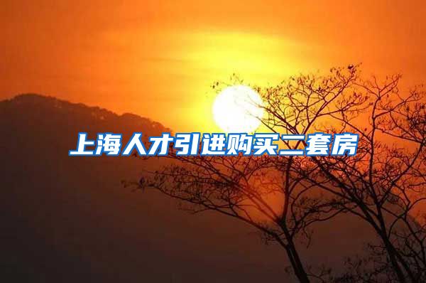 上海人才引进购买二套房