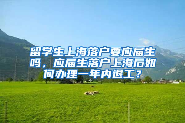 留学生上海落户要应届生吗，应届生落户上海后如何办理一年内退工？
