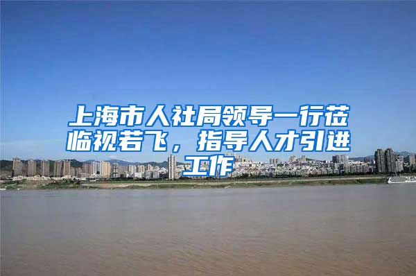 上海市人社局领导一行莅临视若飞，指导人才引进工作
