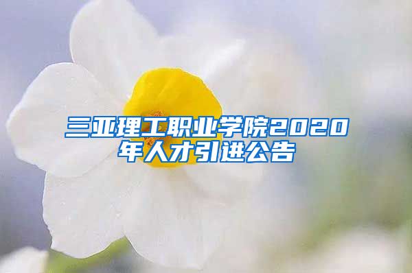 三亚理工职业学院2020年人才引进公告