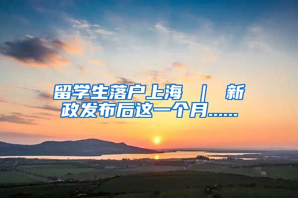 留学生落户上海 ｜ 新政发布后这一个月......