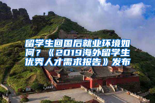 留学生回国后就业环境如何？《2019海外留学生优秀人才需求报告》发布