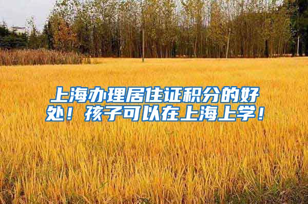 上海办理居住证积分的好处！孩子可以在上海上学！