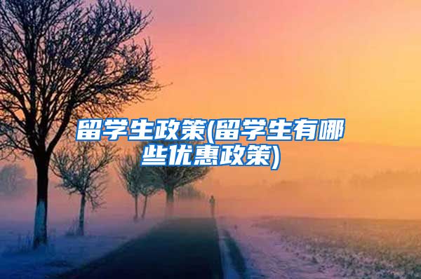 留学生政策(留学生有哪些优惠政策)