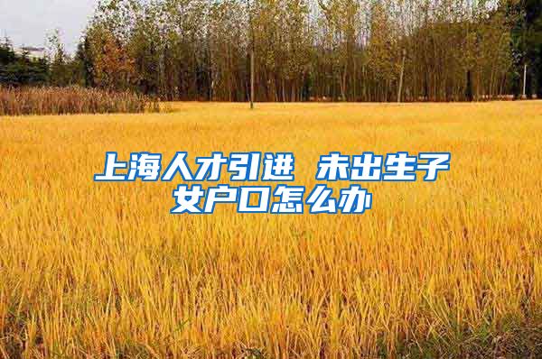 上海人才引进 未出生子女户口怎么办