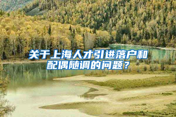 关于上海人才引进落户和配偶随调的问题？