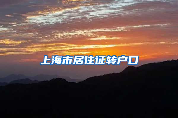 上海市居住证转户口