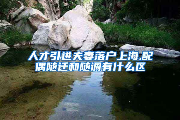 人才引进夫妻落户上海,配偶随迁和随调有什么区