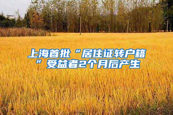 上海首批“居住证转户籍”受益者2个月后产生