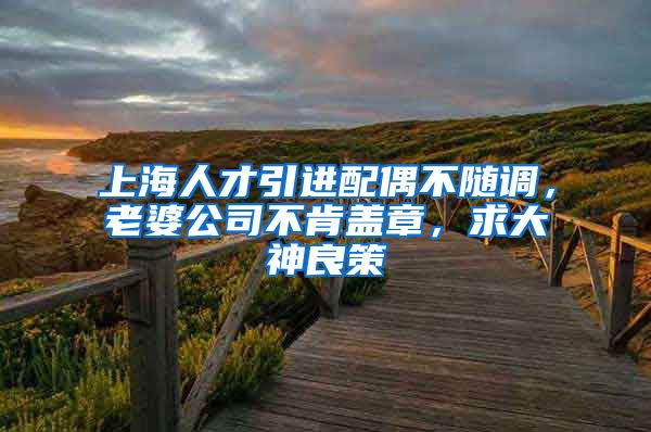 上海人才引进配偶不随调，老婆公司不肯盖章，求大神良策
